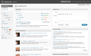 WordPress dashboard with borked menu