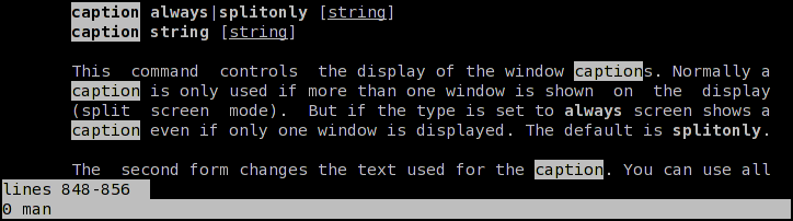 GNU Sreen with default window captions (in XTerm)